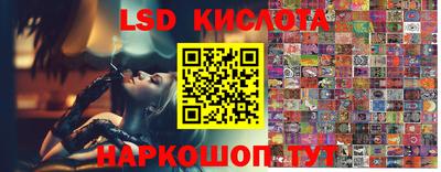 молекула духа Тверь