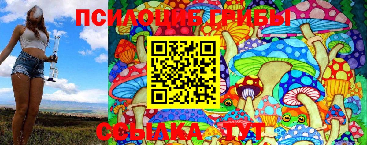 Псилоцибиновые грибы Magic Shrooms Нерюнгри