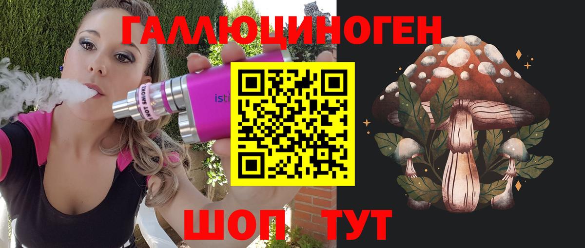 дарнет шоп  Галлюциногенные грибы Magic Shrooms  Вход с VPN  Галлюциногенные грибы мицелий  Нерюнгри 